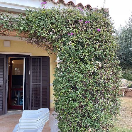 Tavolara Paradise Home Loiri Porto San Paolo Exterior foto